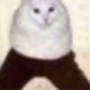 Meet your Posher, Cody